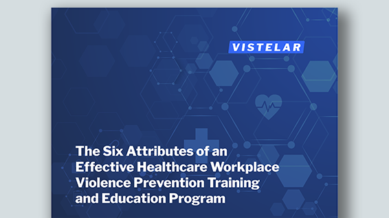 Vistelar-Six-Attributes-Report-Mockup-Graphic
