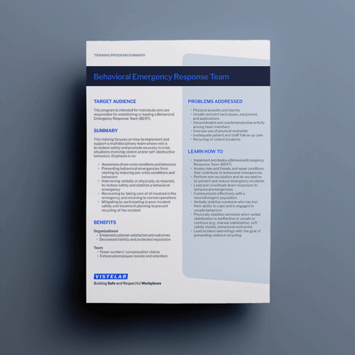 Vistelar-program-summary-BERT-mockup
