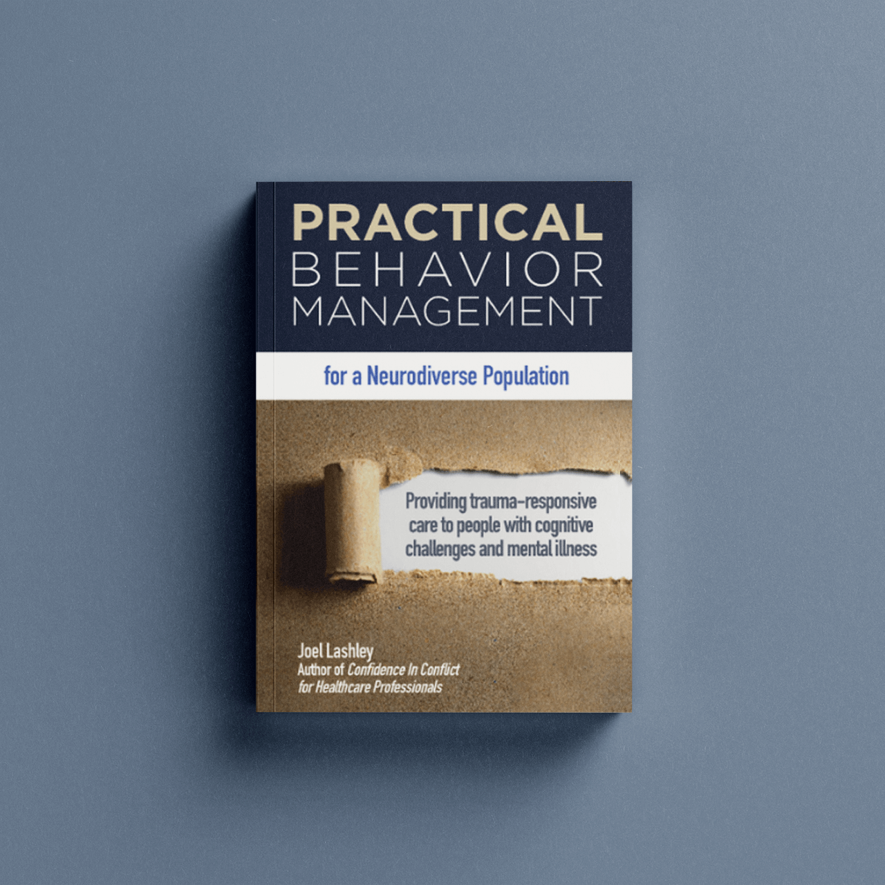 Practical-Behavior-Management-Vistelar-Book (2)